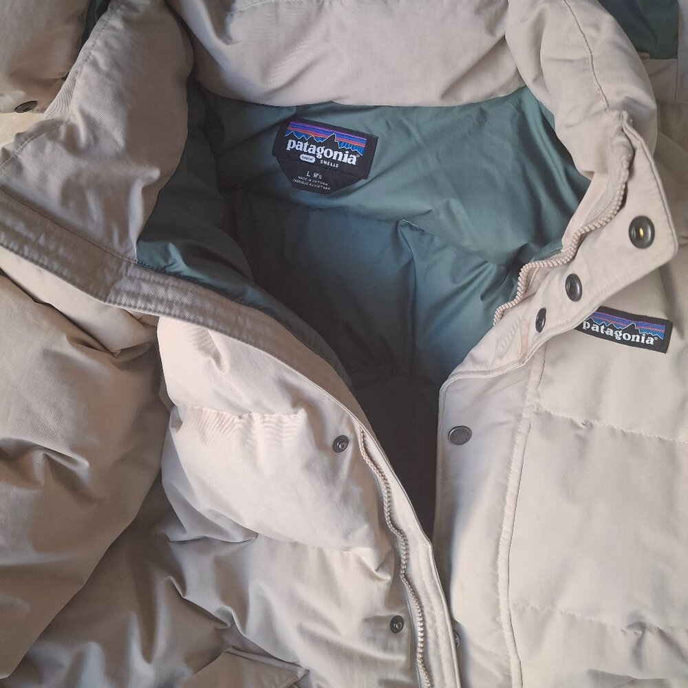 Patagonia Downdrift Men's Winter jacket